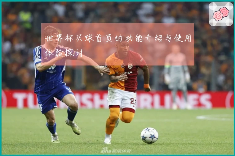 世界杯买球首页的功能介绍与使用体验探讨