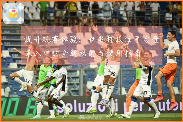 提升观赛体验：世界杯投注平台登录入口的全新功能与使用指南