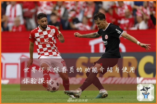 世界杯买球首页的功能介绍与使用体验探讨